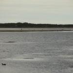 Bermagui - Wallaga Lakes